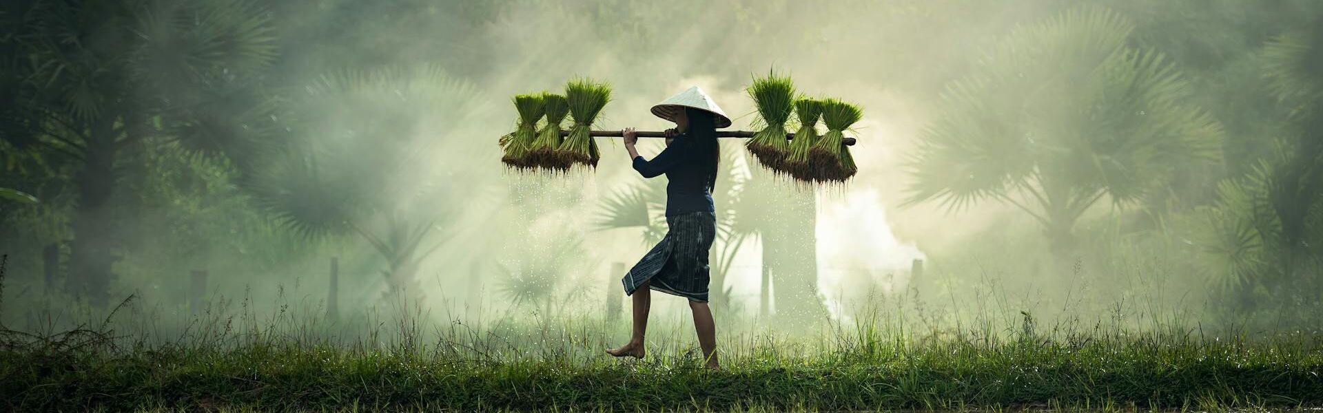 Viet nam travel